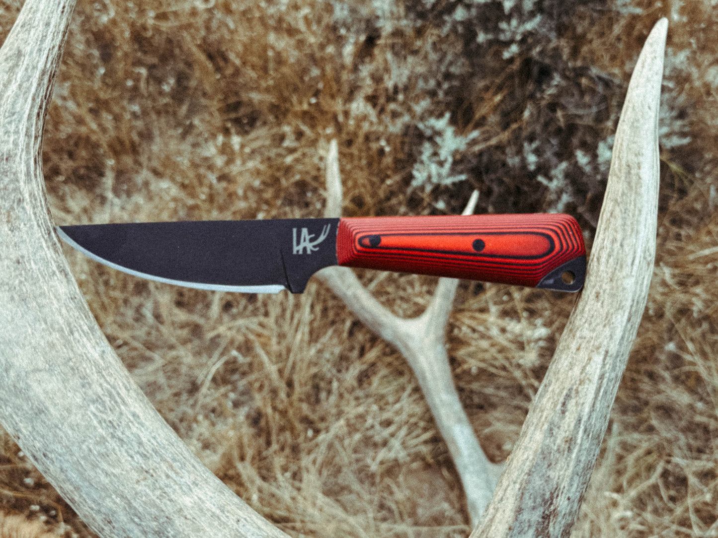 When the Bugle Changed the Plan: Dominic Gray